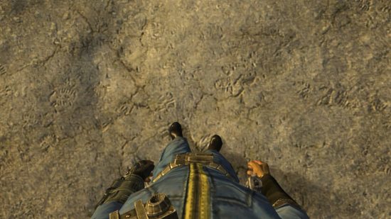 Seorang penghuni lemari besi yang menatap kaki mereka sendiri di Kamera yang disempurnakan Fallout New Vegas Mods