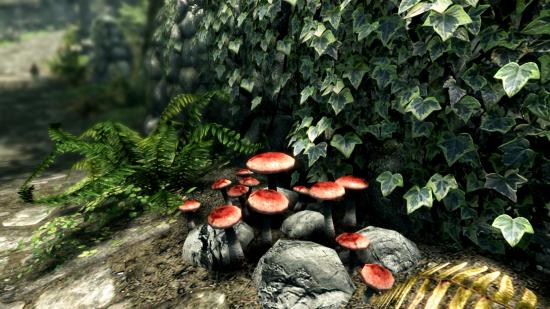 Plant And Mushroom Skyrim Mods