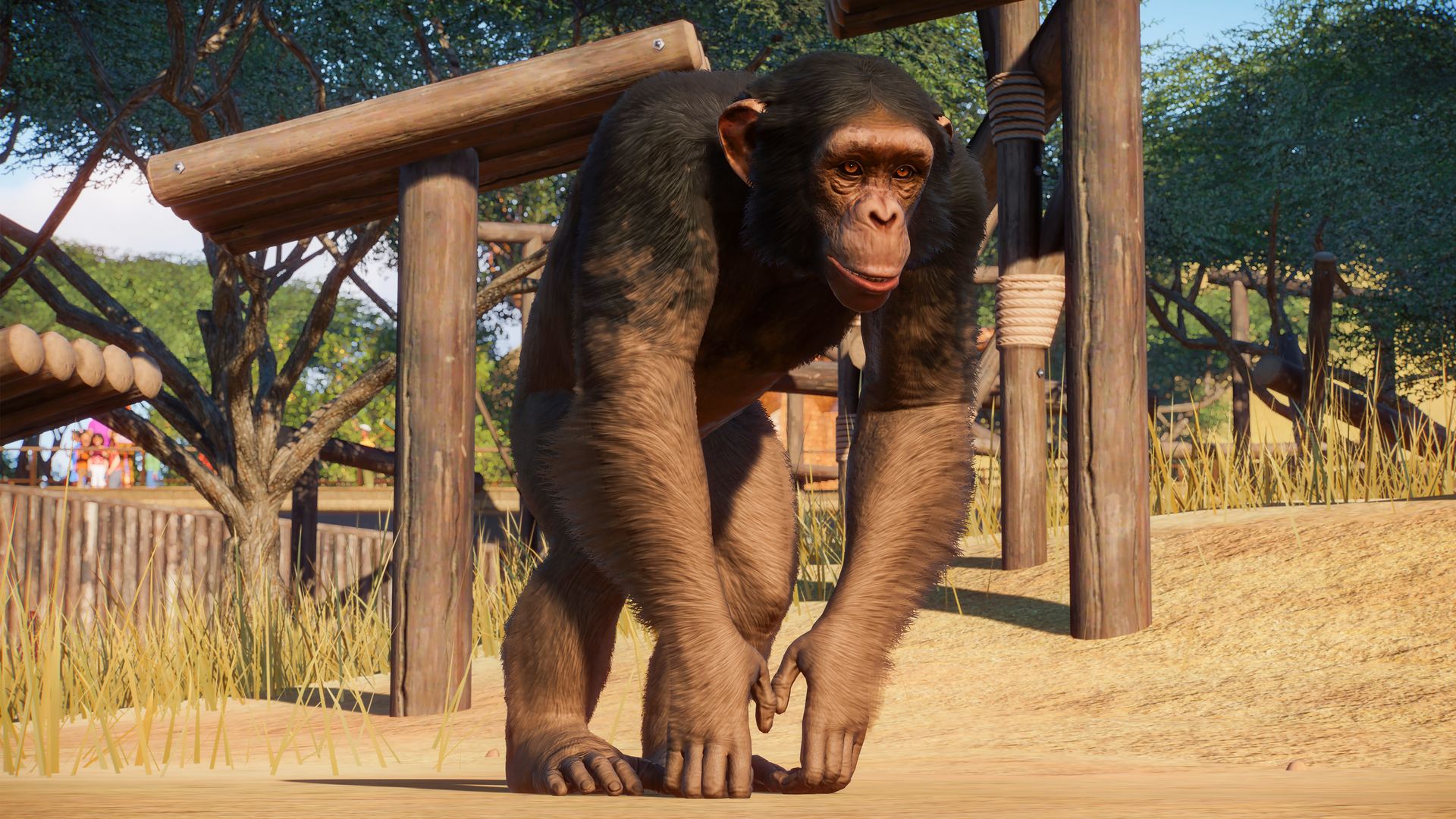 Planet Zoo is adding primates, reptiles, and big cats to its wild animal  roster | PCGamesN