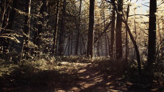 The empty woods during the daytime in Blair Witch, one of the best horror games