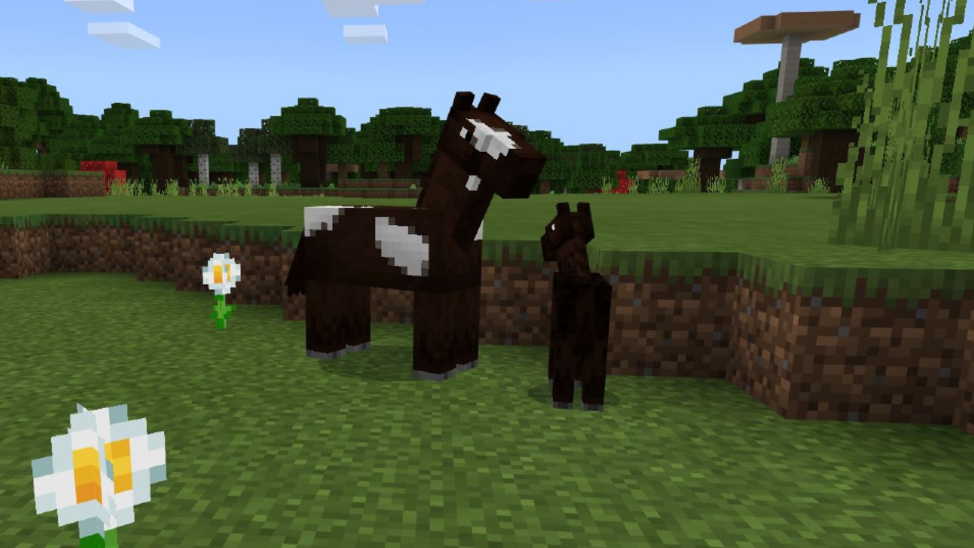 Minecraft horses guide, locations and how to tame them