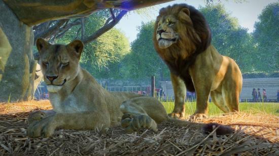 Planet Zoo habitat: cleanliness, barriers, and animal welfare | PCGamesN