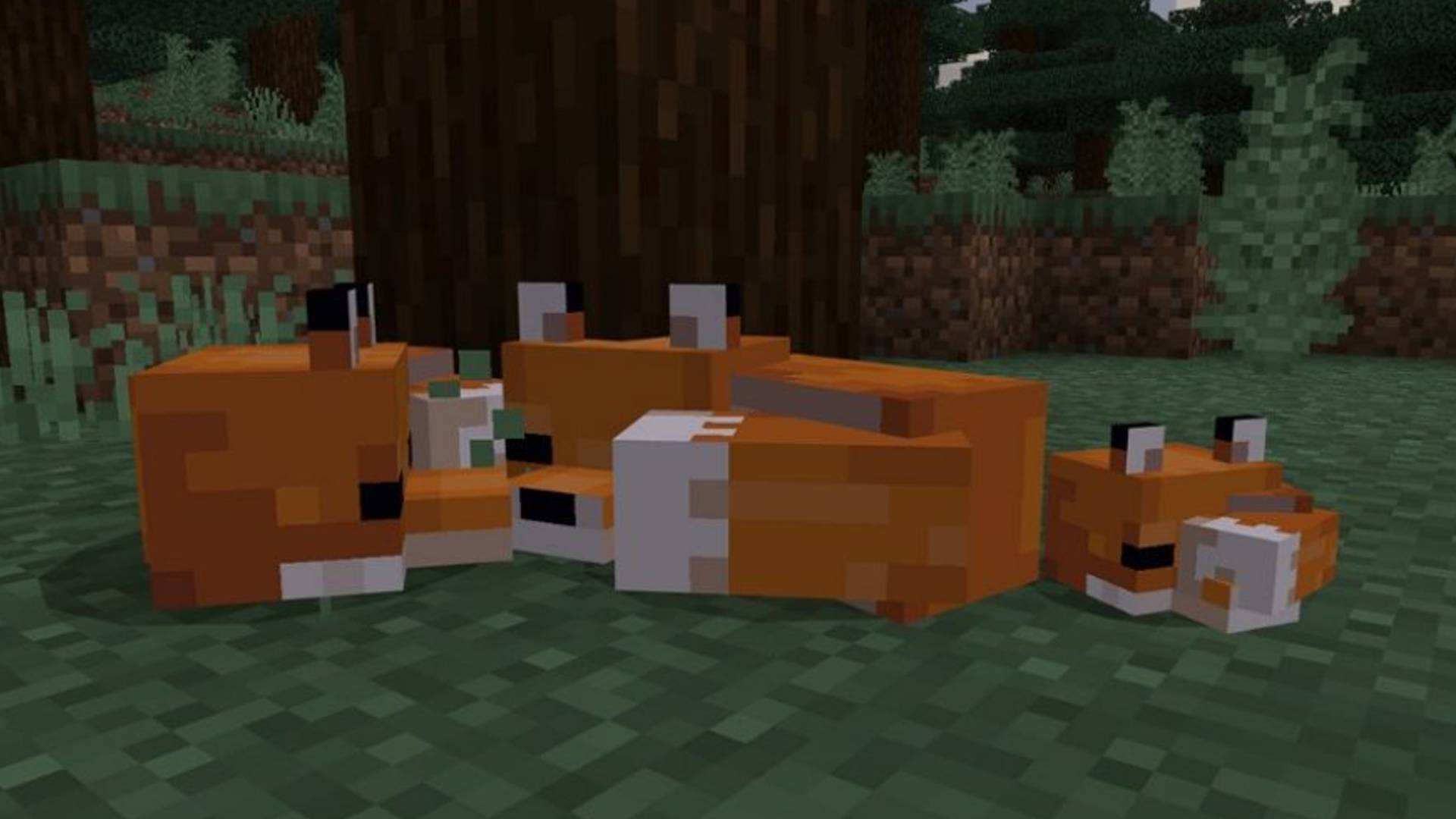 How to tame a Minecraft fox