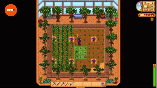 Stardew Valley money: ancient seeds shown planted in a greenhouse