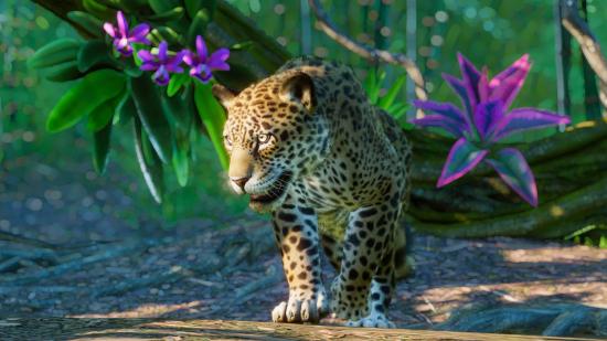 Planet Zoo's South America Pack adds five new animals | PCGamesN