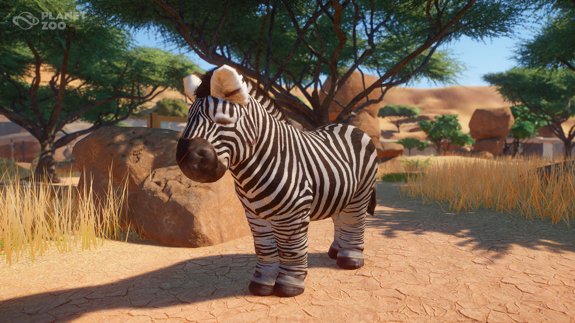 Planet Zoo's animals get super chonky with newly unlocked Easter eggs |  PCGamesN