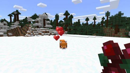 Minecraft Fox - een vos in de sneeuw aangetrokken door zoete bessen die de speler vasthoudt.