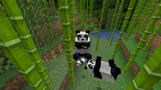 Minecraft pandas hang out in a bamboo forest