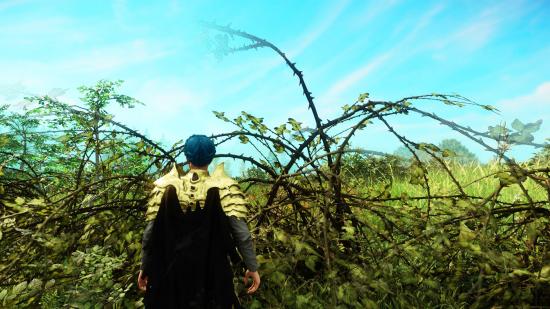 A player standing in front of a briar plant in New World
