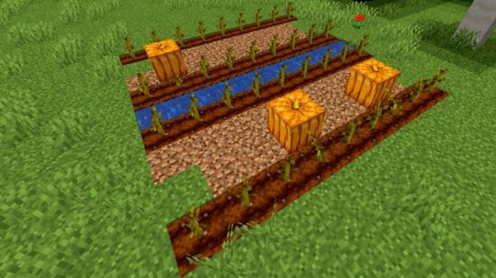 Minecraft कद्दू फार्म: Minecraft में कद्दू उगाने के लिए सबसे कुशल विधि का एक उदाहरण