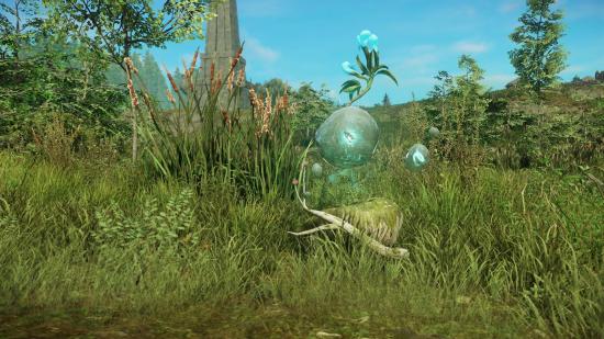 A mystical plant in a field in New World