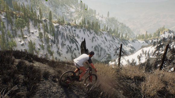 Cycling down a patch of forest in Riders Republic