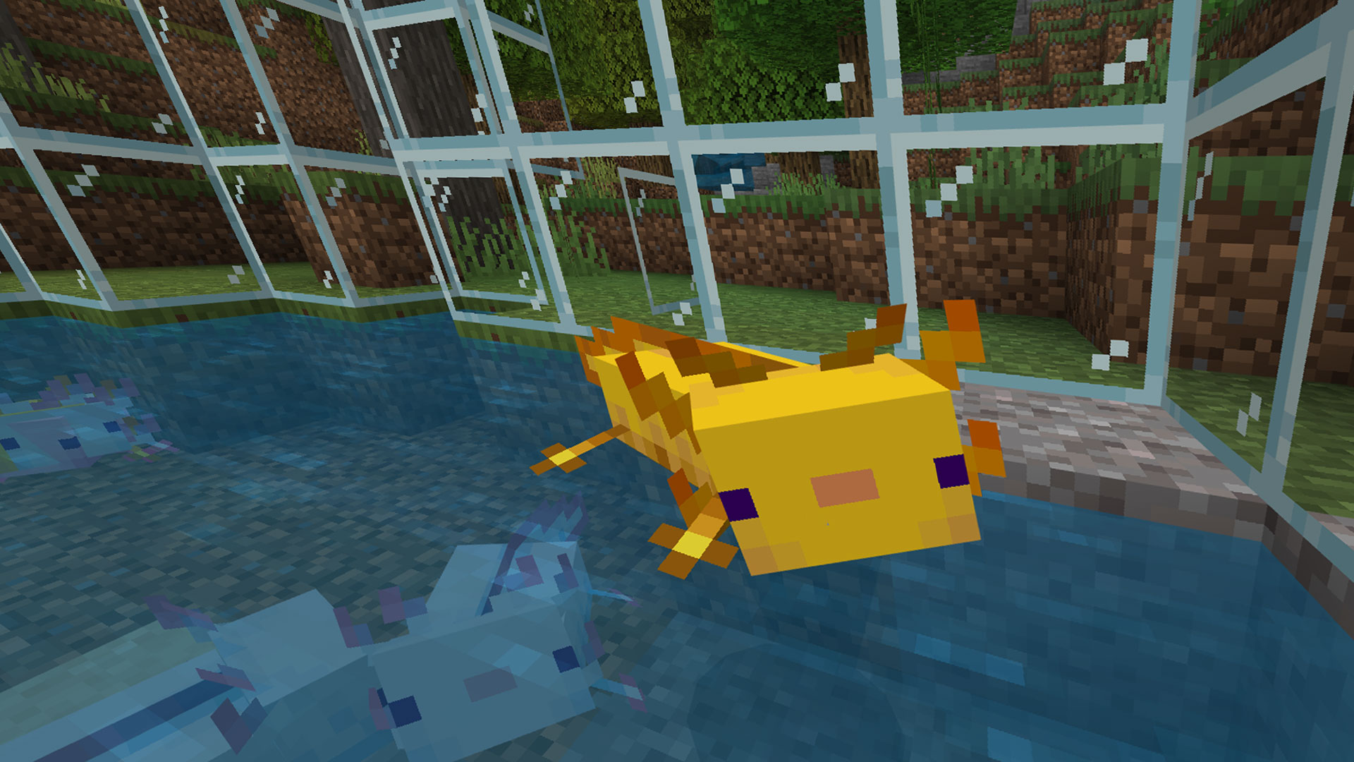 Minecraft axolotl guide how to find, breed, and tame