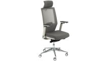 Flexispot BS10 office chair, otherwise known as OC13, against a white background