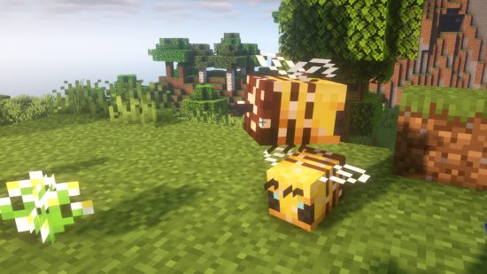 התנהגות דבורים של Minecraft: שתי דבורים המראות את המראה האבקה שלהן, כאשר אבקה מכסה את גופם