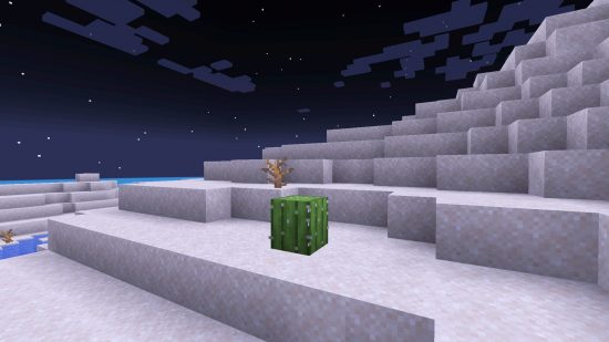 Minecraft Biomes-砂漠の真ん中にある唯一のサボテン。