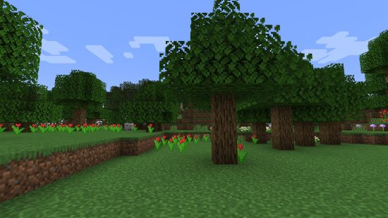Minecraft Biomes-いくつかのバラが森林の木の下で成長しています。