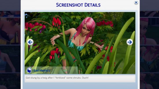 Los Sims 5 recuerdos