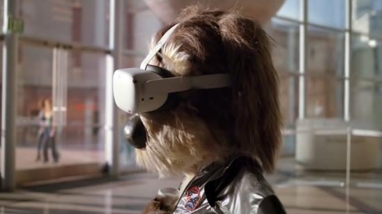 Project Cambria price: dog wearing Oculus Quest 2 headset