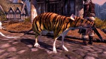 Rat companions Skyrim mod: A giant rat with a tiger's stripes in Skyrim