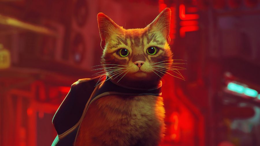 Cyberpunk cat game Stray gets a release date on PS5, PS4, PC - Polygon