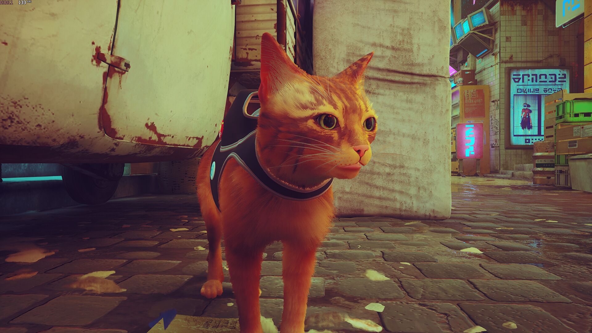 Recap: New cat adventure game Stray enjoys warm reception
