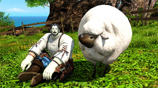 FFXIV 6.2 Patch Notes - Ein Roegadyn -Bauer sitzt neben einem großen, flauschigen Schaf auf einem Feld