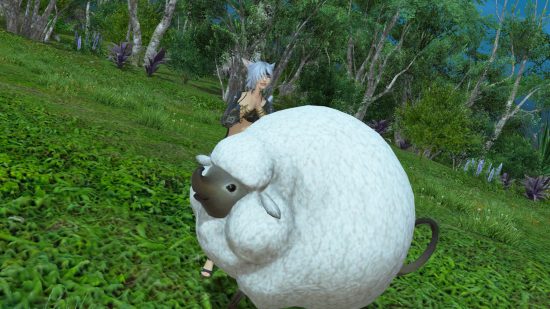 Un jugador de FFXIV de pie junto a una oveja de aspecto muy esponjoso