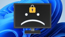 A monitor, displaying a sad face and lock symbol, against a Windows 11 floral background