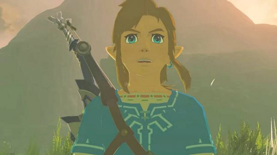 Zelda PC port: A young man wearing blue looks surprised while standing in a field