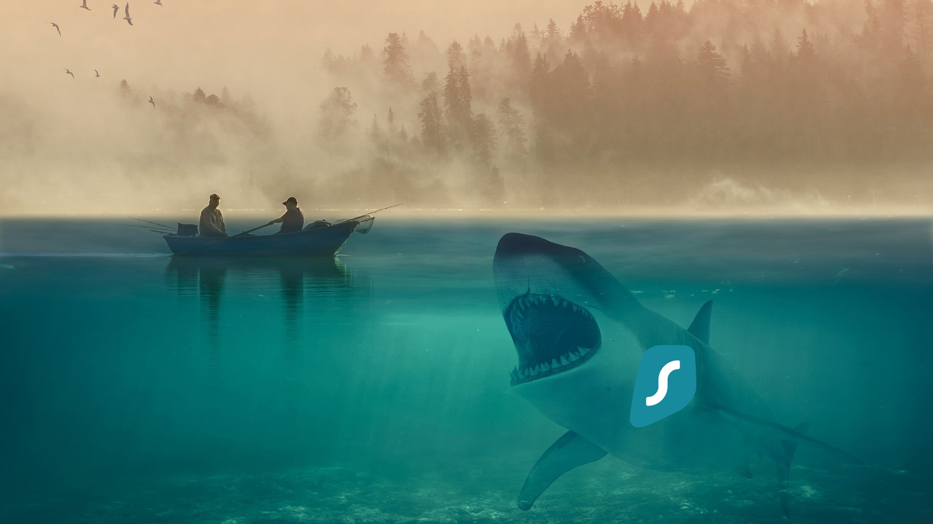 Surfshark VPN – everything you need to know