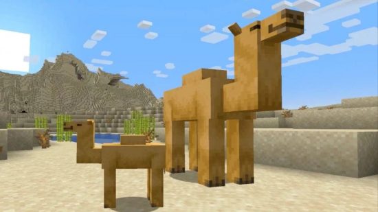 Minecraft 1.20 update preview. This image shows off two camels.