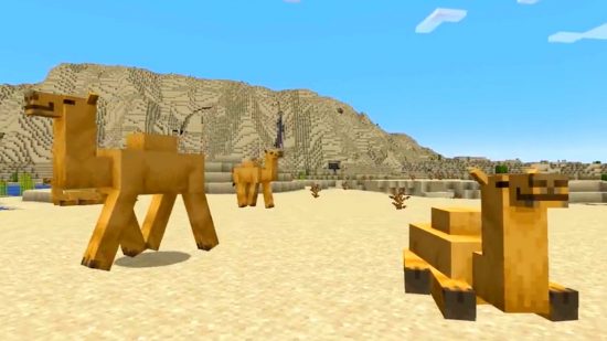 Varios camellos de Minecraft están pasando el rato en el desierto