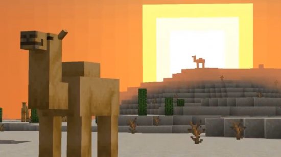 Minecraft Camel: อูฐ Minecraft สองตัวที่ด้านหน้าของพระอาทิตย์ตกดิน