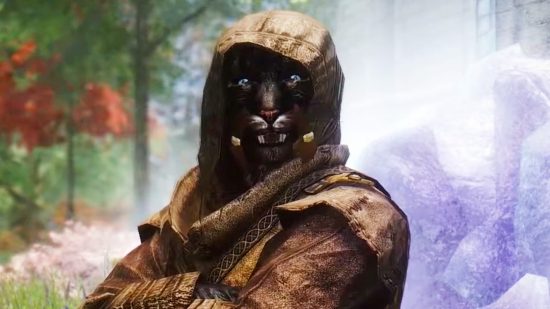 Skyrim mod Summerset Isle - a Khajiit in a hood smiles toothily at the camera