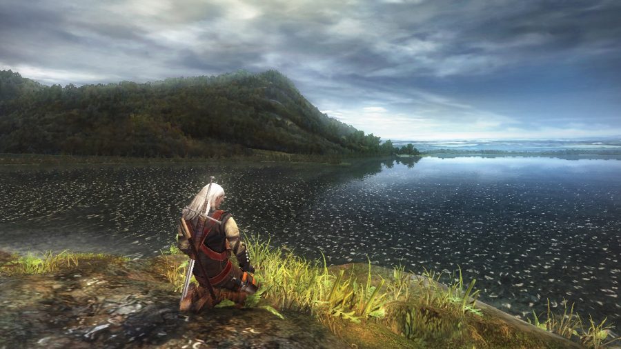 The Witcher Header Image