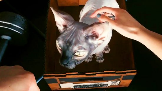 Cyberpunk 2077 mod - first-person view of petting a Sphynx cat, who is sitting in a cardboard box