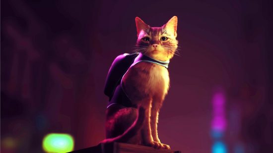 The main feline character in Stray stands proud and faces towards the camera against a neon background
