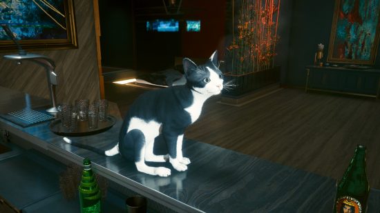 Cyberpunk 2077 mods cats: A black and white cat sitting on a marble bartop with a friendly expression