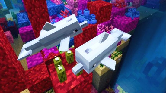 Minecraft Mobs: Два дельфіни, нейтральні мови Minecraft, плавають серед барвистих коралових блоків