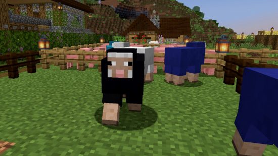 Minecraft Mobs: una pecora nera Minecraft cammina verso il giocatore, con una pecora bianca e blu dietro di essa