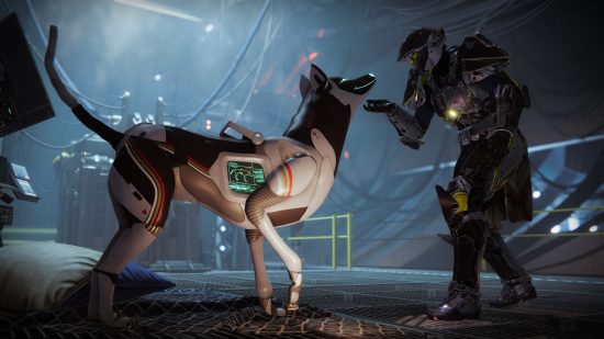 Destiny 2 - a Guardian pets Archie, the Exo robot dog