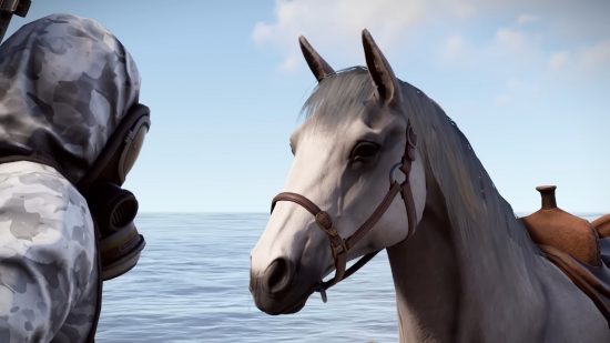 Rust water update: A horse looks at a man in a dingy white HAZMAT suit while standing on the shore of a calm sea on a sunny day