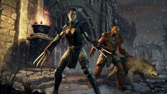 Diablo 2 Resurrected ladder season 3 start time: An assassin with short hair and metal claw weapons, a druid in leather armour, and a wolf prepare for an attack as they stand ready outside a castle gate during a snowy night