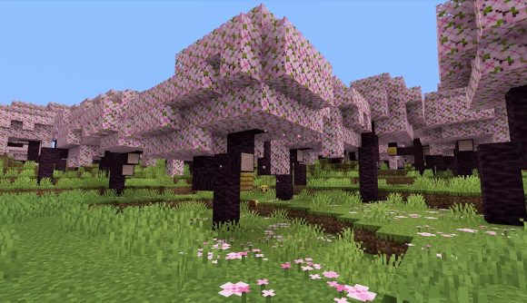 Minecraft cherry blossom biome: Pink Minecraft cherry blossom trees as far as the eye can see, with pink sakura petals on the ground beneath them.