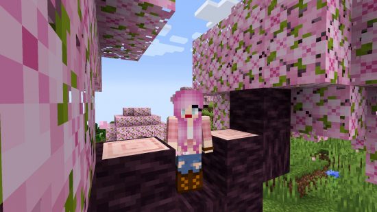 Minecraft cherry grove biomes: A Minecraft avatar with pink hair stands among the leaves in a cherry blossom tree