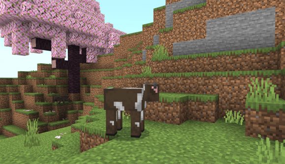 A cow and two spiders hanging around the Minecraft cherry blossom trees.