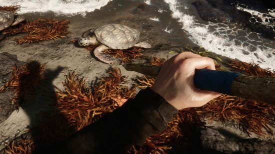 Sons of the Forest cheats: The player hunts for food in the ocean and finds a turtle