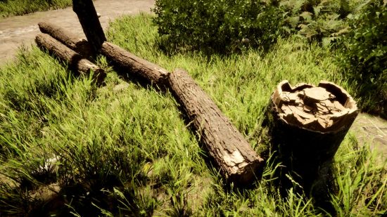 Υιοί της Δασικής Δολοφονίας: Τα δέντρα αναζωογονούνται στους γιους του δάσους; Ένα κούτσουρο όπου έχει τεμαχιστεί ένα δέντρο και τέσσερα μεγάλα κούτσουρα