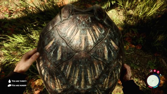 Sons of the Forest turtle shell: The player holds the turtle shell out in front of them in Sons of the Forest